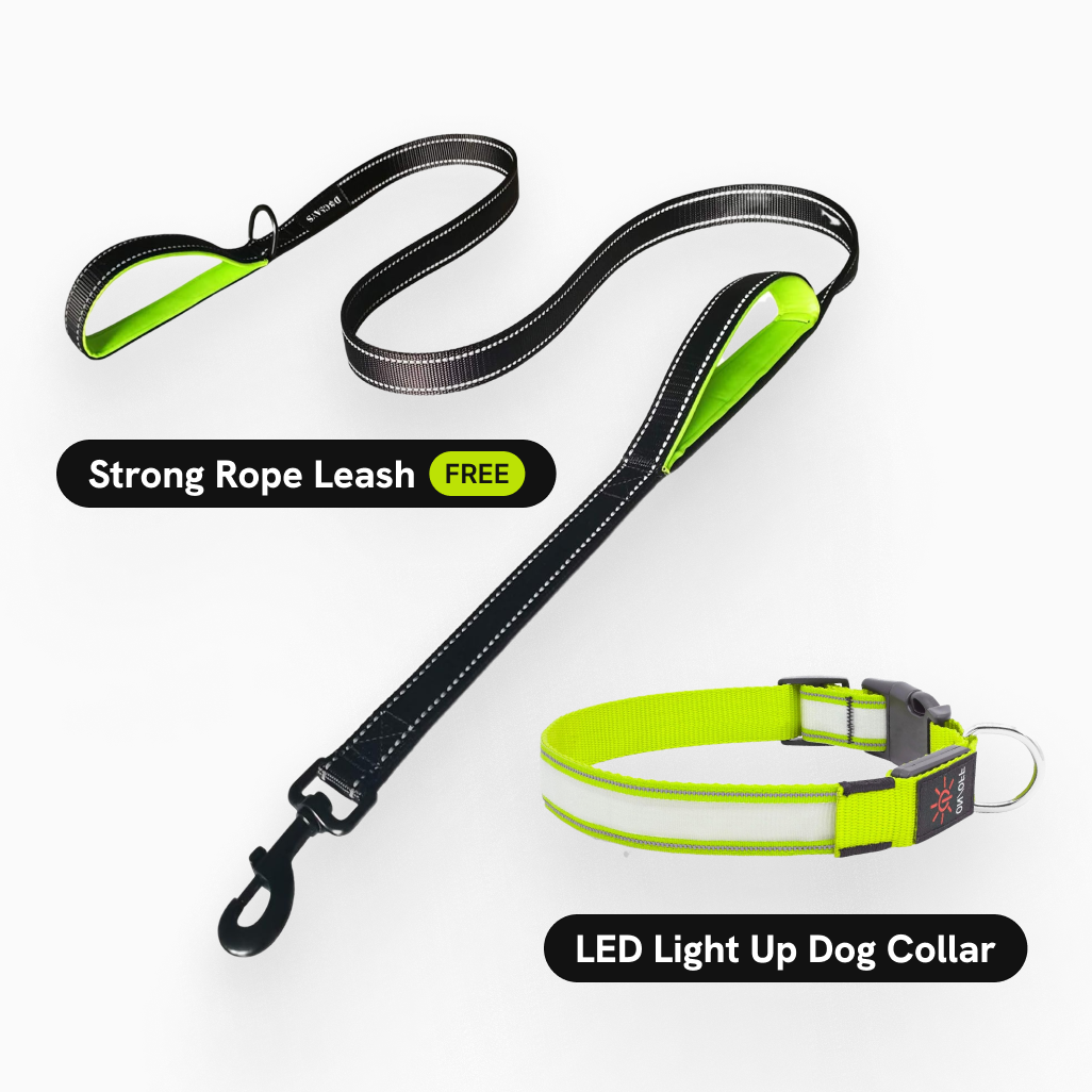 Tryluxelight LED Dog Collar
