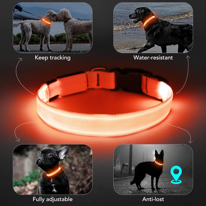 Tryluxelight LED Dog Collar