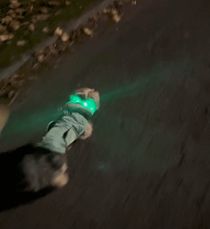 Tryluxelight LED Dog Collar